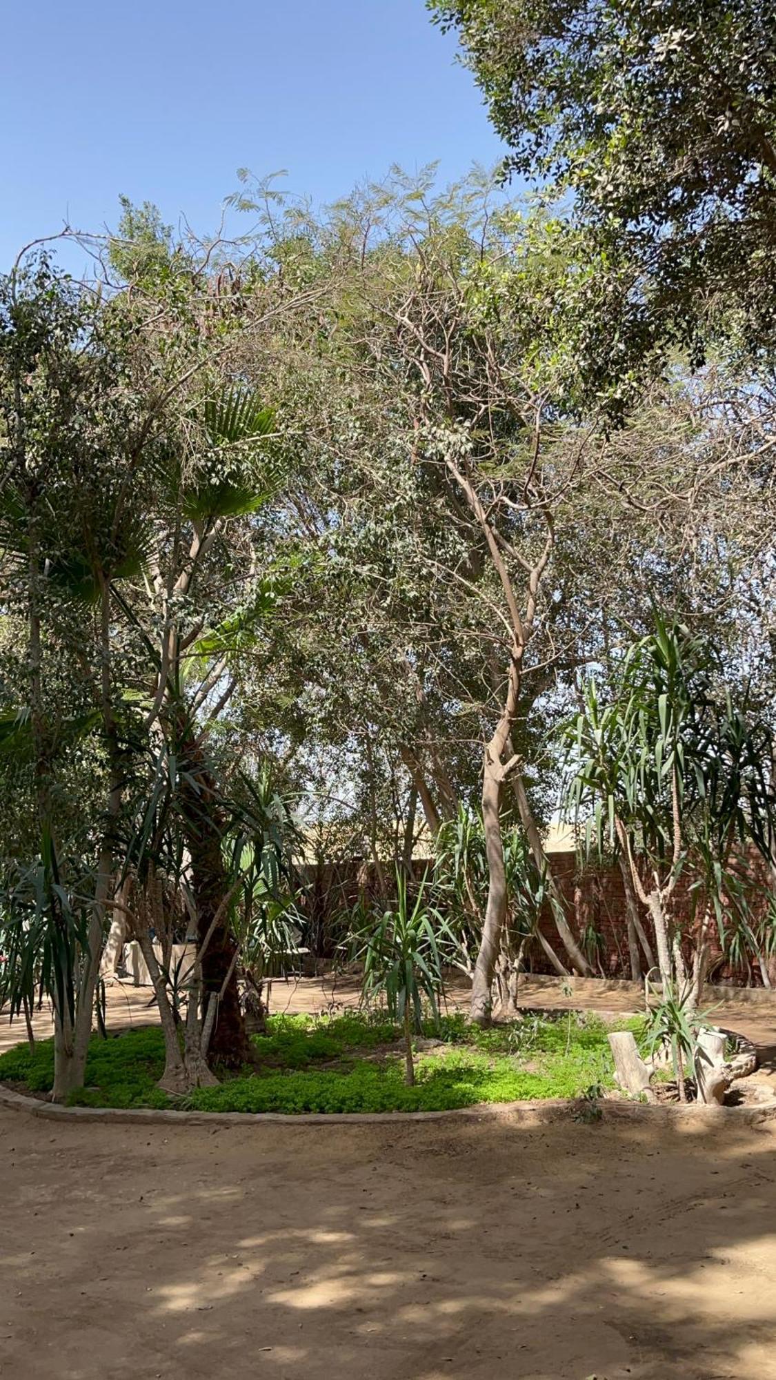 Villa By The Pyramids Kairó Kültér fotó