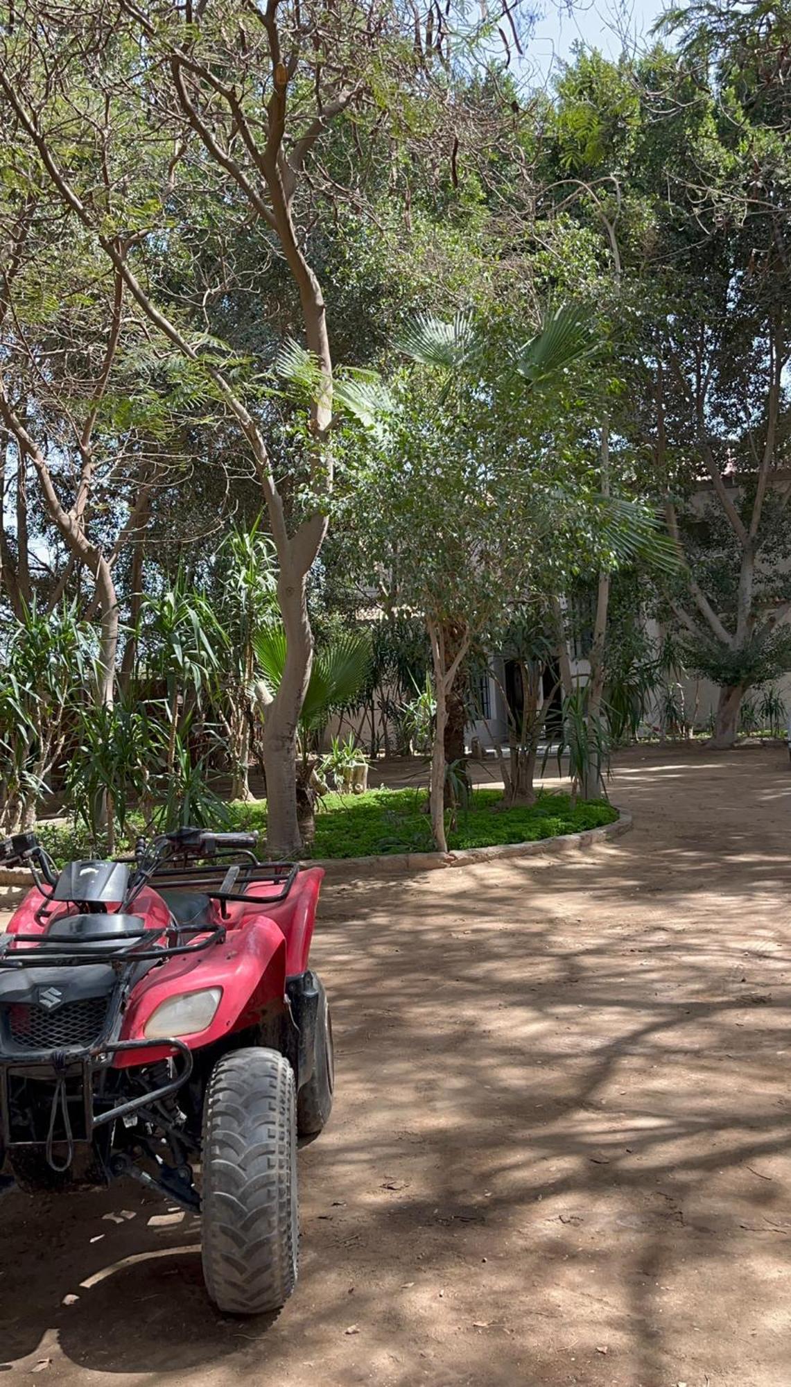 Villa By The Pyramids Kairó Kültér fotó