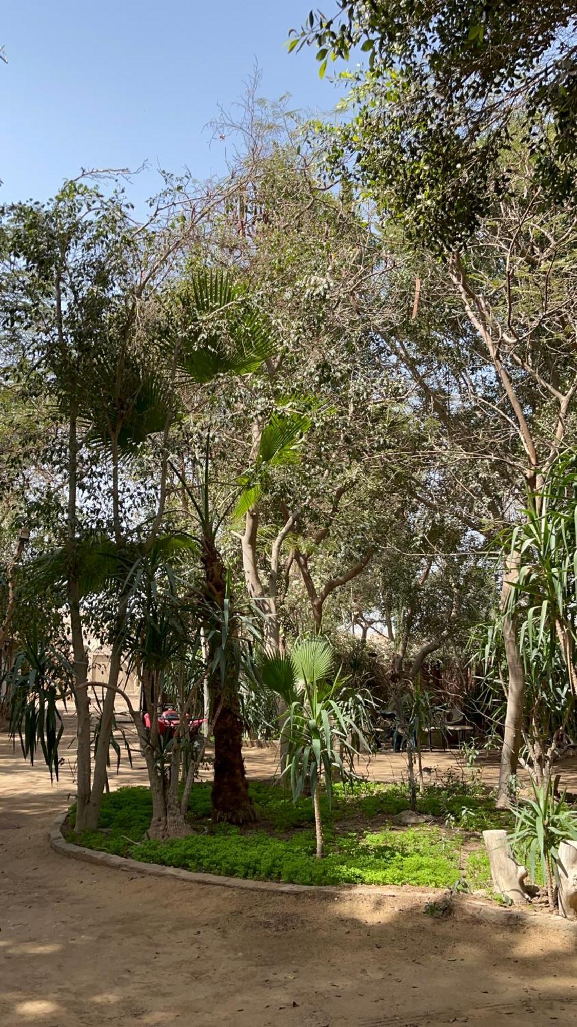 Villa By The Pyramids Kairó Kültér fotó